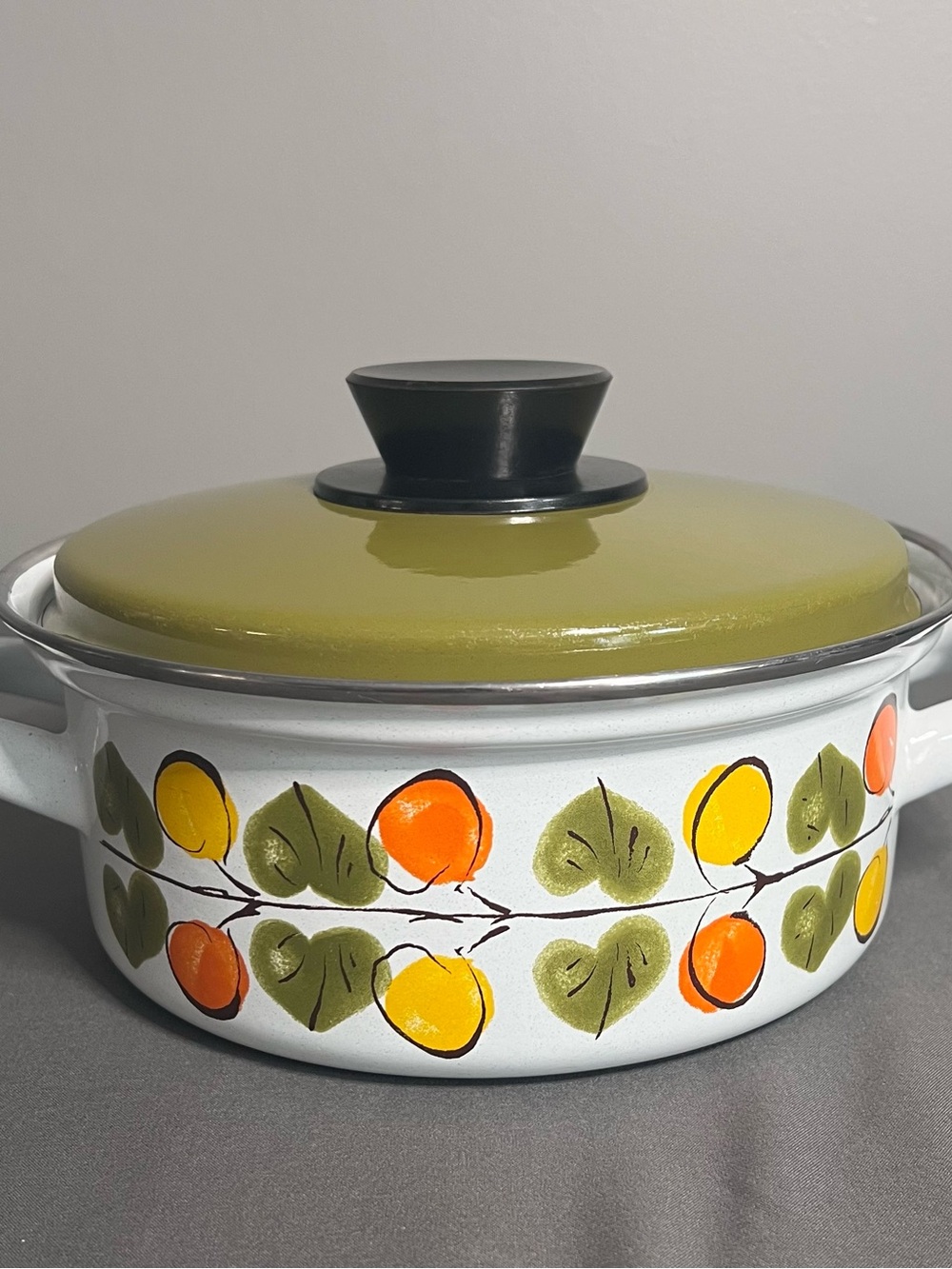 VTG MCM Austria Email Enameled Cookware Covered Stock Pot Cottagecore Farmhouse